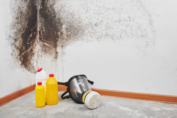 Water Damage Restoration in Butte, MT