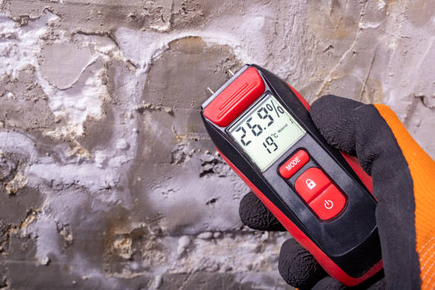 Best Mold Damage Repair  in Butte, MT